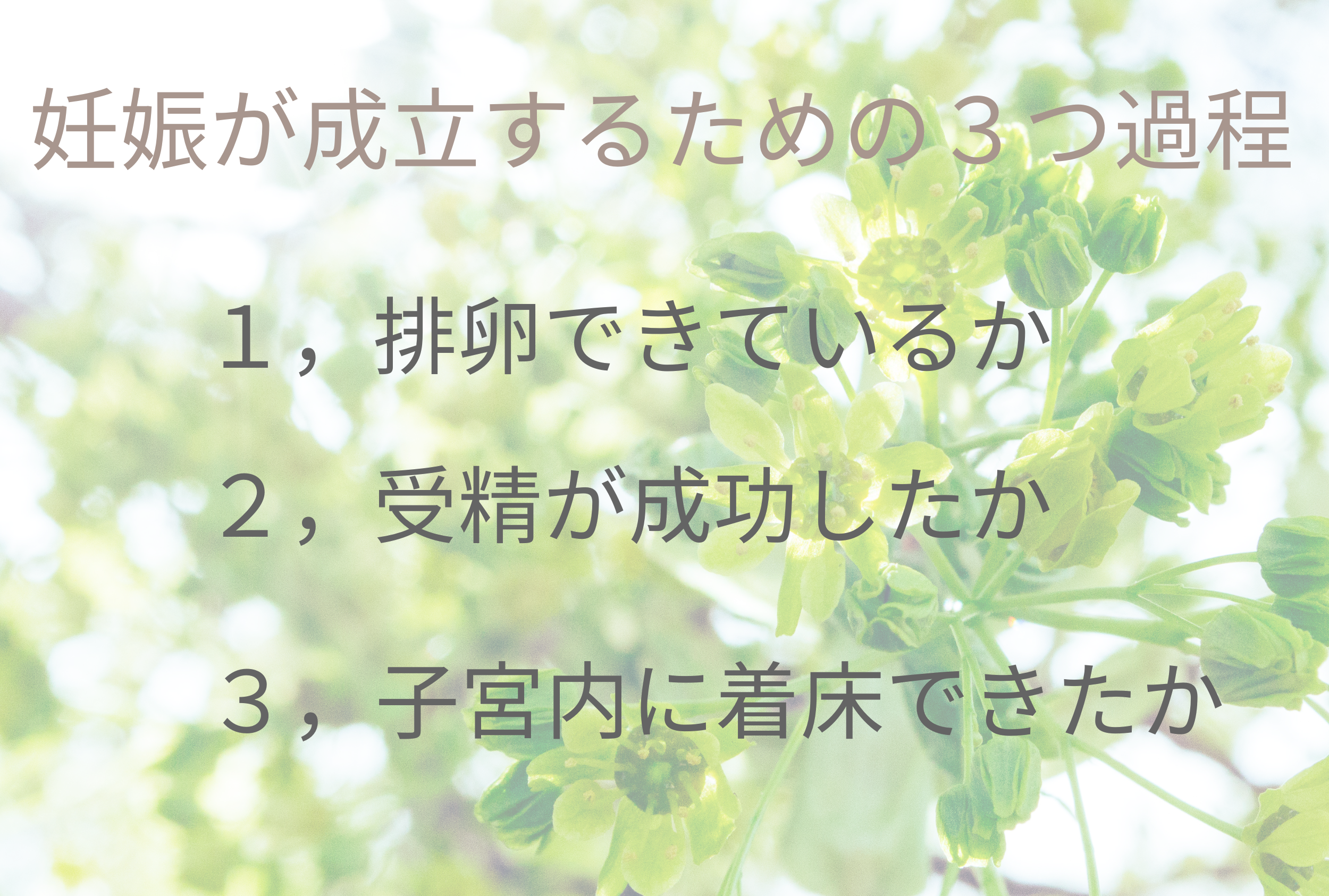 ”妊娠が成立するまでの過程